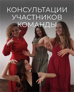 Консультации участников команды