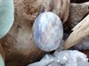 Галтовка лунный камень глк16 - фото 14000