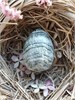 Скарн средний скс87