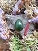 Нефрит зеленый тантра инт01 - фото 7751
