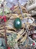 Нефрит зеленый малый инм08 - фото 7790