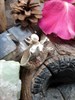 Кольцо медведида-берегиня с белой жемчужиной большое КольМБ3 - фото 9294